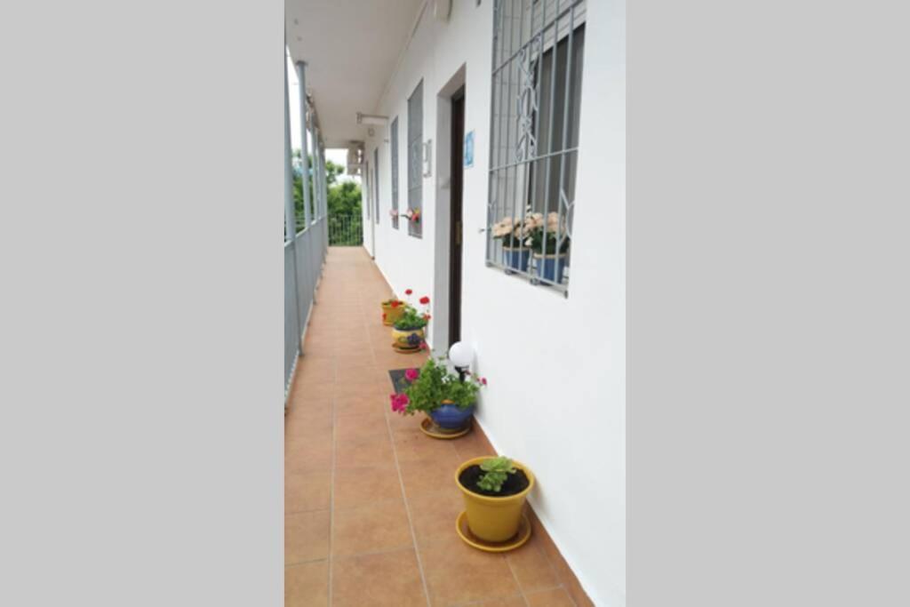 Appartement Apartamento Al-Zhara, Junto Puente Romano à Cordoue Extérieur photo